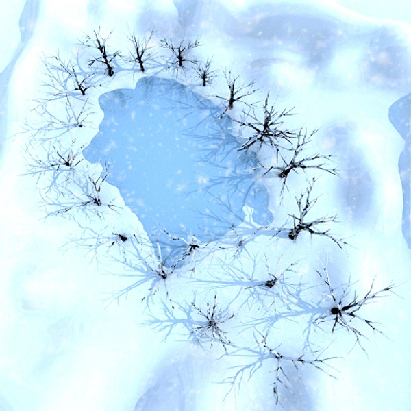 3d winter scene lake broadleaf model - Winter Lake Broadleaf by scripter