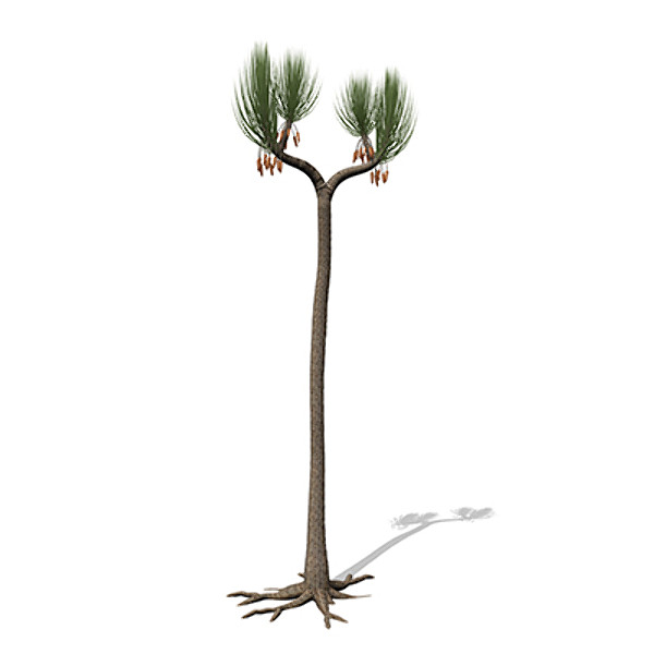 xfrogplants sigillaria plant 3ds - XfrogPlants Sigillaria by xfrog