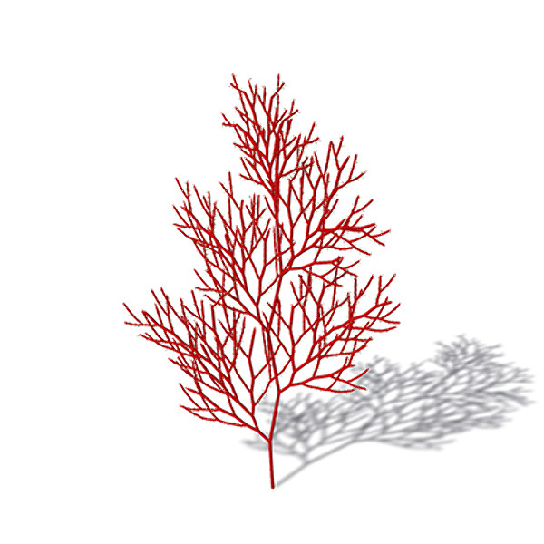 3d model of xfrogplants red sea fan - XfrogPlants Red Sea Fan by xfrog