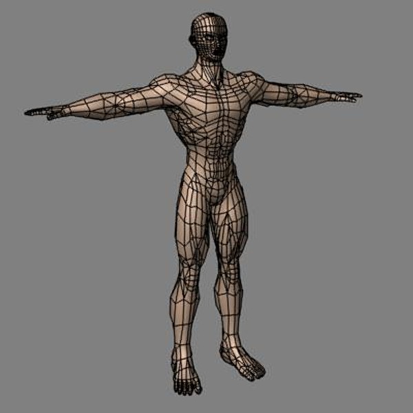 3d model muscular male - tw_hero_lp.lwo by tomwoof