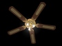 decorative fan 3d obj