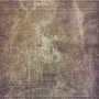 tile005.tga