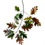 Branch_s_25.tga