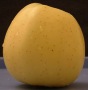 apple_golden_side_wet.TGA