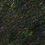 Greenish rock 3.tga
