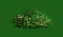 Bush_03.tga