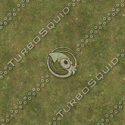 Tileable grass texture