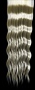 blondeHairTexture_094.tga