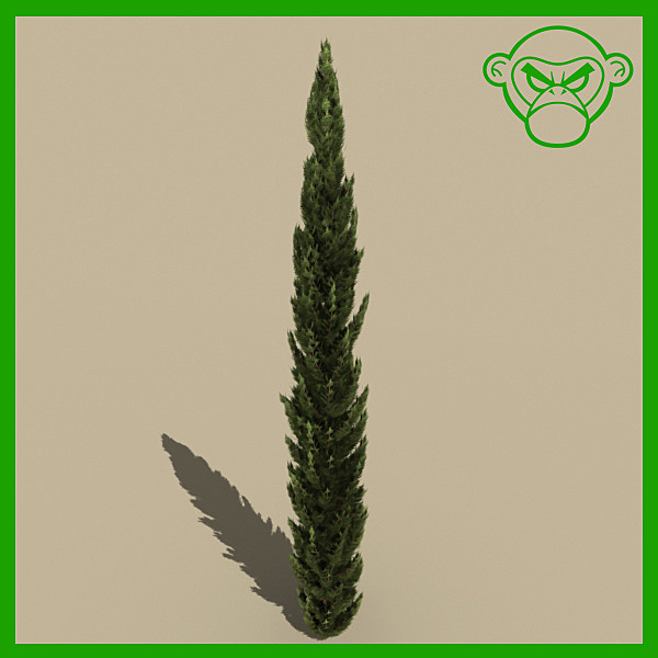 italian cypress 3d model - plant_italian_cypress by monkeyodoom