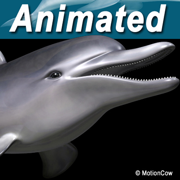 bottlenose dolphin 3d model - Dolphin ( Bottlenose ) by MotionCow