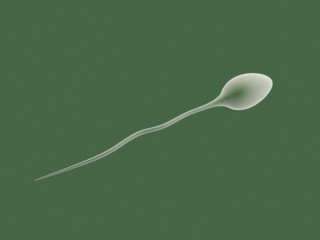 3d model of sperm science - sperm.max by izzetalsan