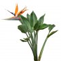 FlowerL_34.tga