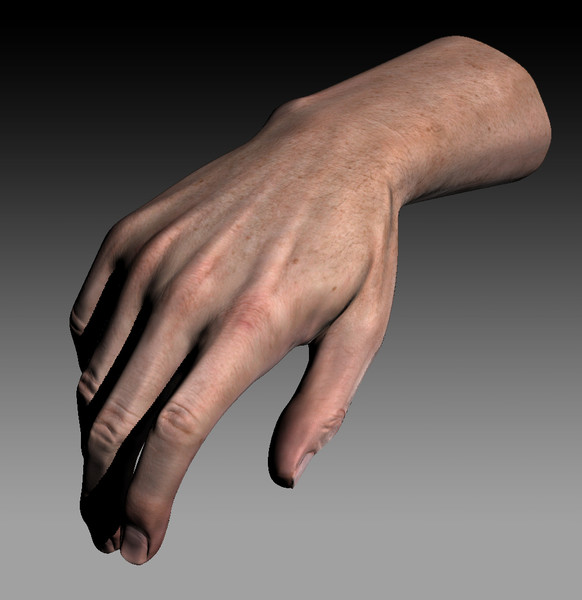 hand quad high-res 3d model - Male Hand (Jointed)... by kenbishop