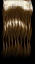 brownHair_072.tga