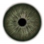 Iris Texture Collection for 3D Eyeballs