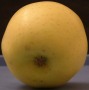 apple_golden_top.TGA