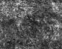 grime4_seamless.tga