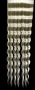 blondeHairTexture_057.tga
