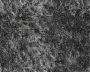 grime1_seamless.tga