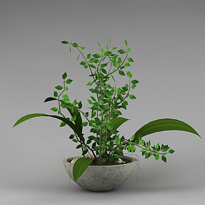 plant max8 3d max - plant_0007 by stei