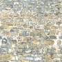 wall_medieval_seaml-horizontal_001.tga