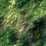 Greenish rock 2.tga