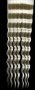 blondeHairTexture_056.tga