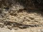 rock wall_2725 tm.JPG