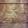 tile003.tga