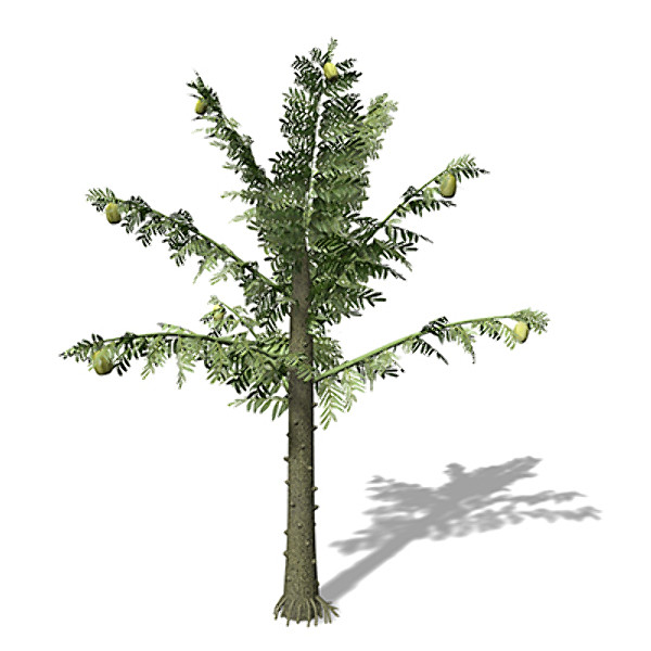 xfrogplants alethopteris plant 3ds - XfrogPlants Alethopteris by xfrog