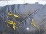 Fence Plastic Cover