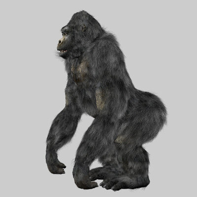 3d gorilla monkey model - Gorilla by 3d_Wanderer