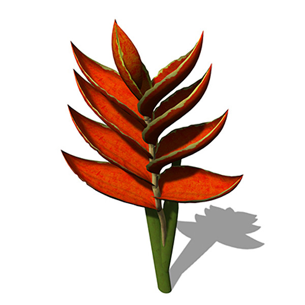 xfrogplants firebird plant bird 3d max - XfrogPlants Firebird by xfrog
