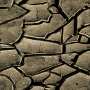 cracked mud.jpg