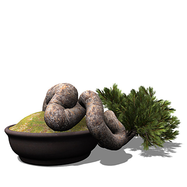 3d model xfrogplants bonsai scotch pine - XfrogPlants Bonsai Scotch Pine by xfrog