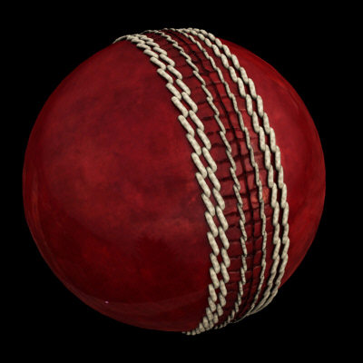 cricket ball leather