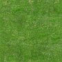 grassfield1.tga