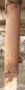 Rusty Metal Pole