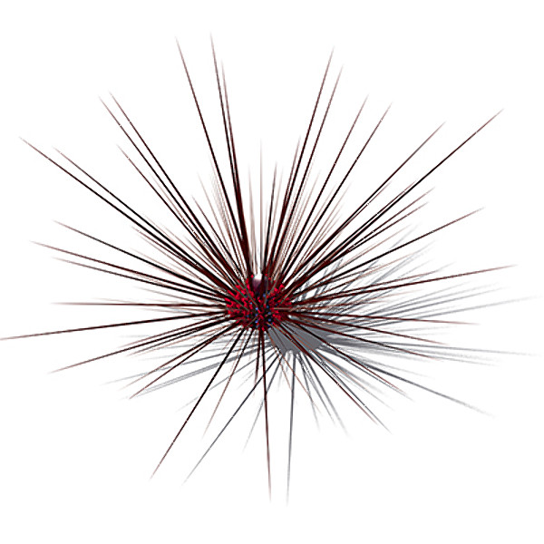 xfrogplants long-spined sea urchin 3ds - XfrogPlants Long-spined Sea Urchin by xfrog