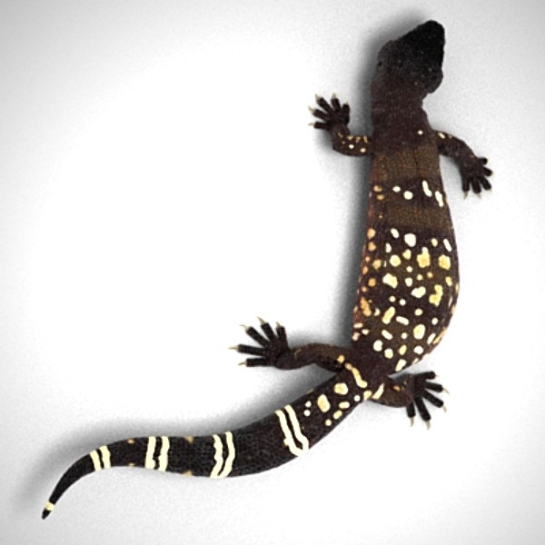 3d gila lizard beaded - BeadedLizard_3DS.zip by Short Bus