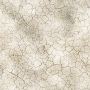 Desert(light).jpg