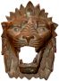 Bronze Lion Head Texture