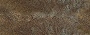 Komodo Dragon Skin