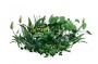 Bush_05.tga