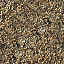 Acorn Covered Ground
