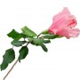 Branch_s_20.tga