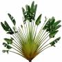 Tropic_13.tga