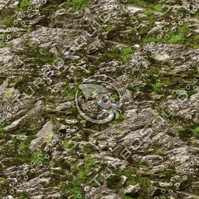 canyon3_veg1.tga