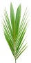Tropic_17.tga