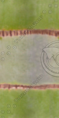 Bark_40.tga